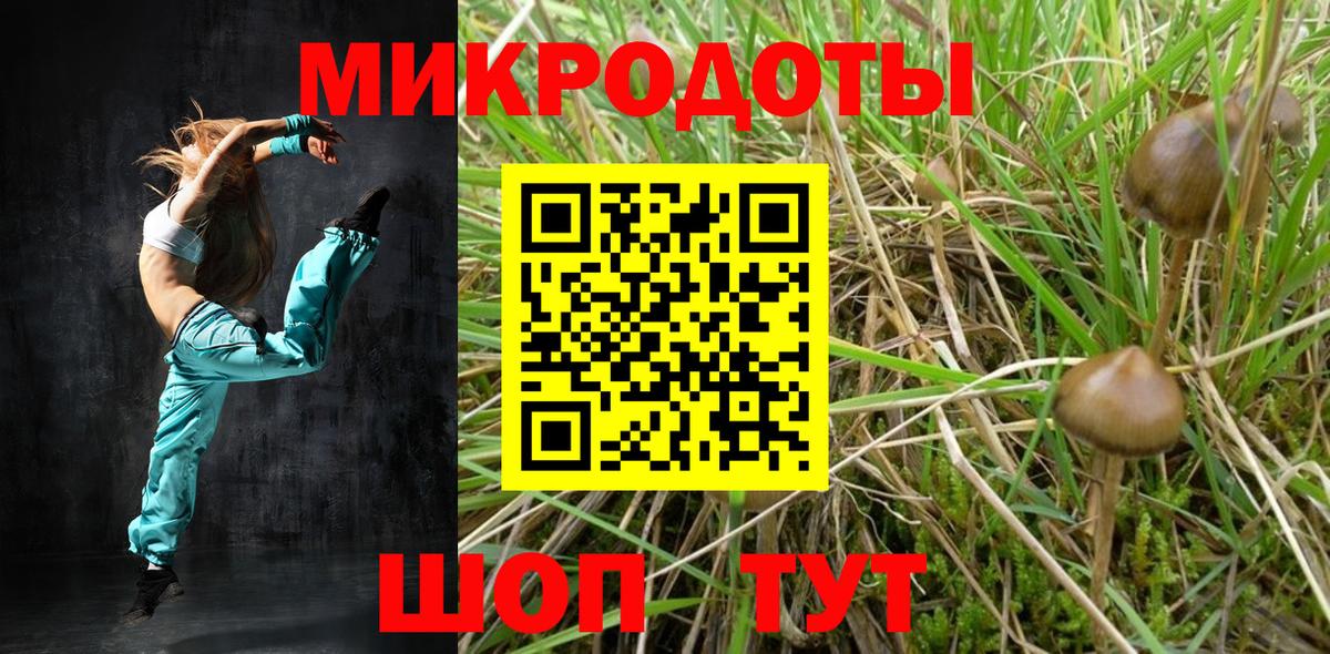 Корсаков  Псилоцибиновые грибы мухоморы  наркота  Галлюциногенные грибы GOLDEN TEACHER  Вход с VPN 